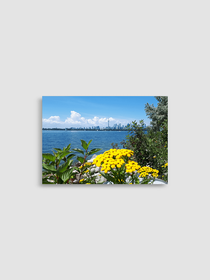 Toronto summer skyline product image (1)