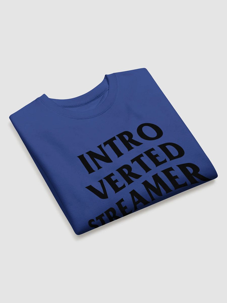 Introverted Streamer Club Sweatshirt product image (14)