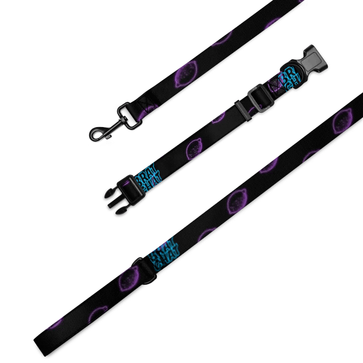 Brat Chat Leash and Collar product image (1)