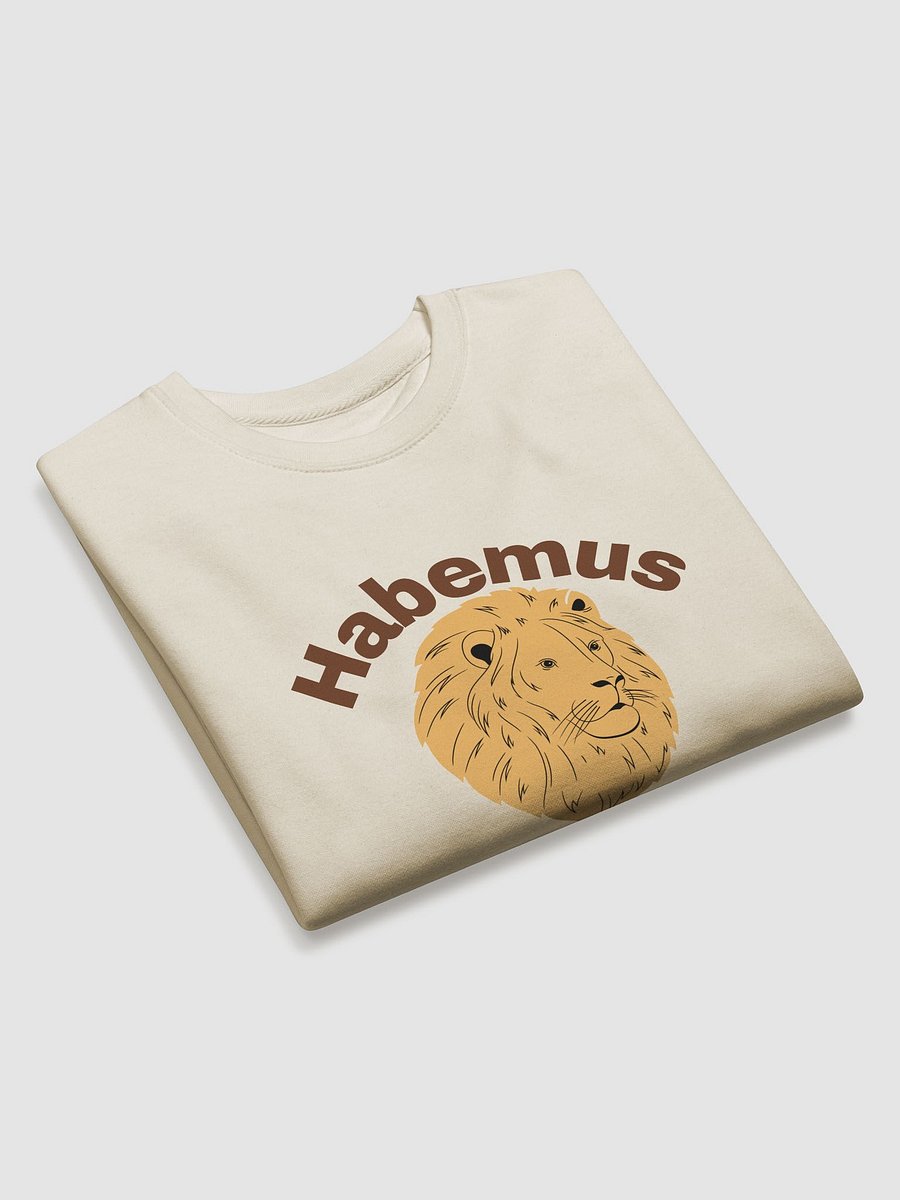 Habemus Papam 2025 Premium Sweatshirt product image (3)