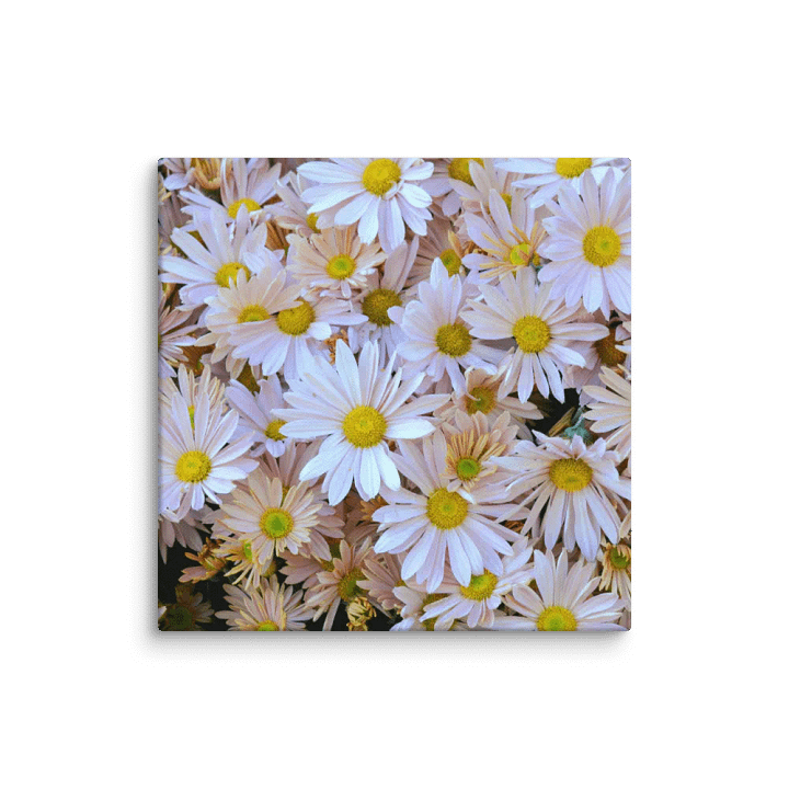 Field of Flowers product image (1)