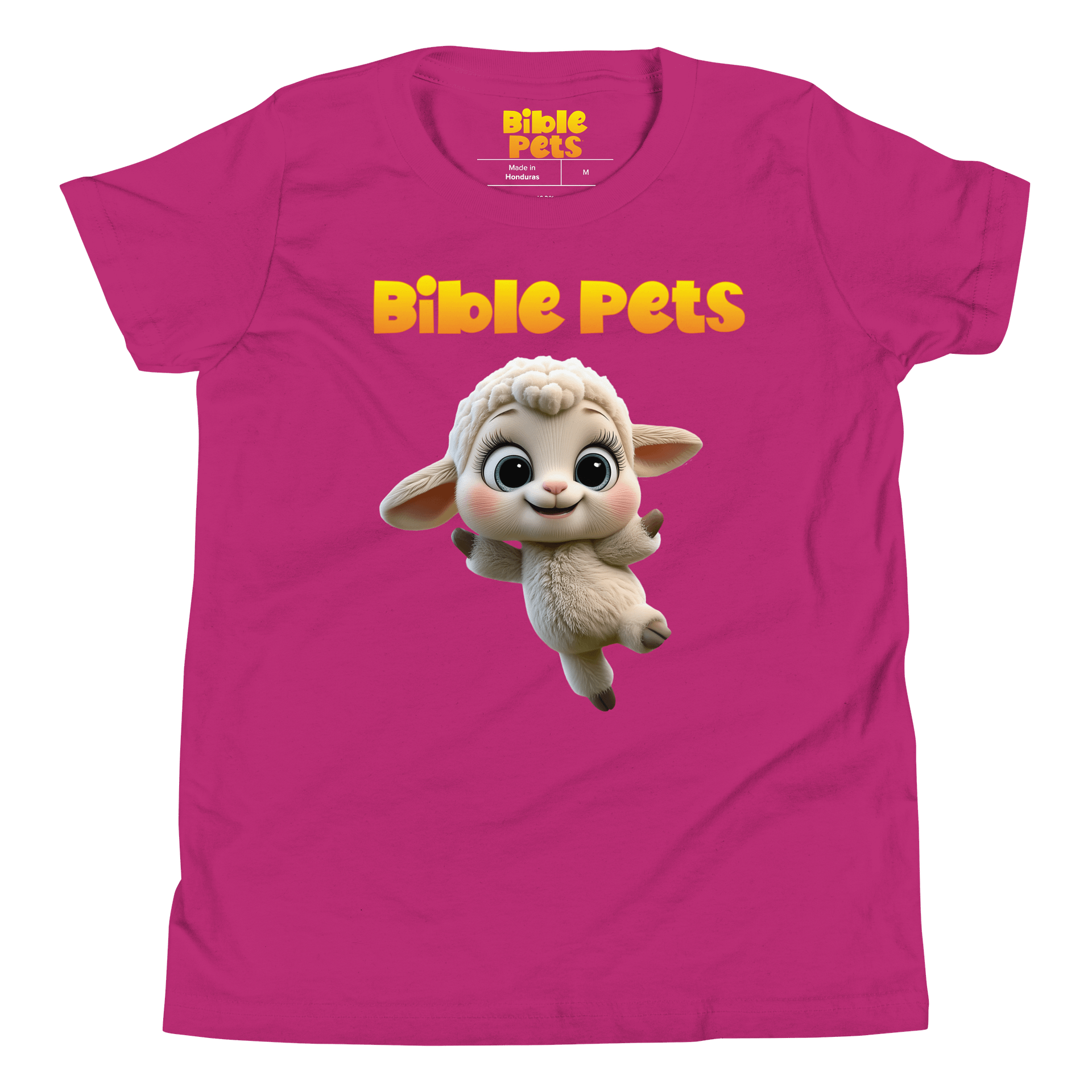 Tabby Bible Pets Youth T-Shirt product image (2)