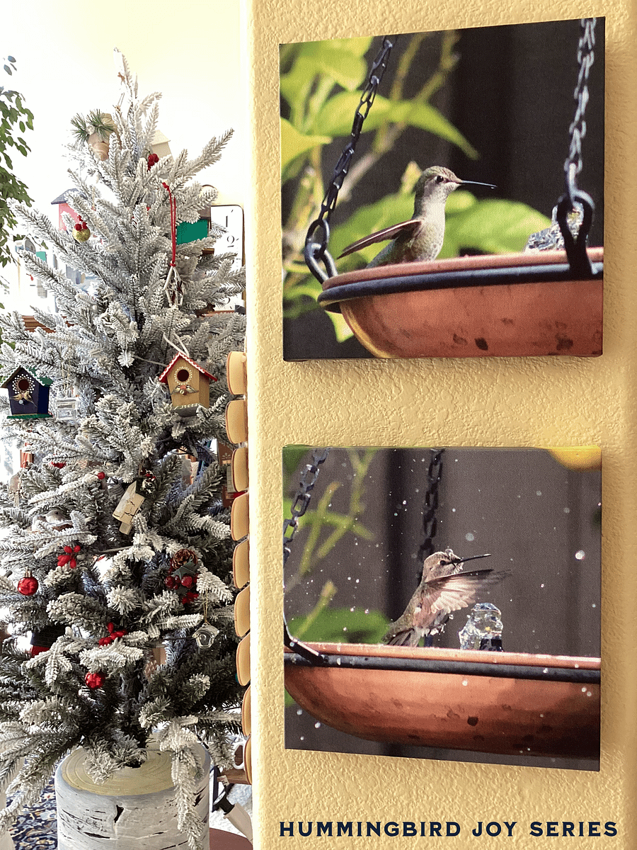 Hummingbird Joy: Splash Bath - Bird Wall Art product image (6)