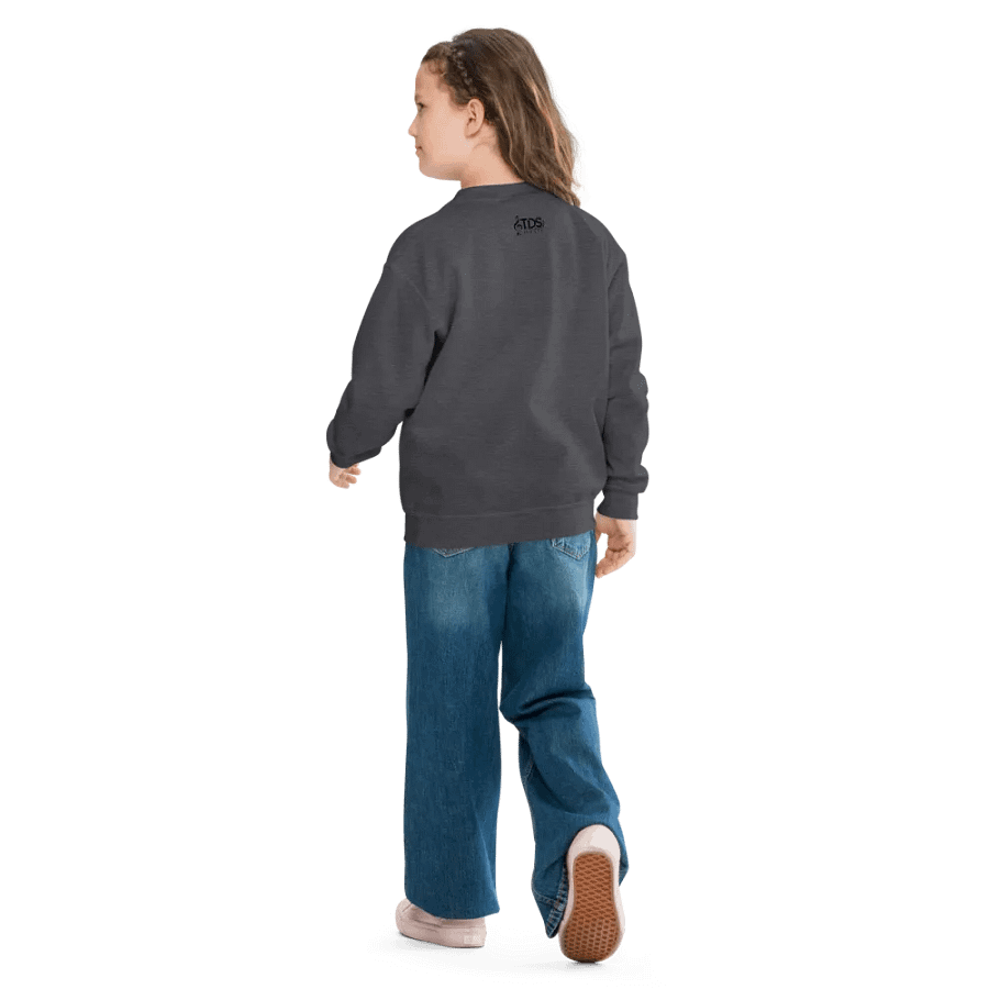TDS Music Youth Crew Neck Sweatshirt in Blue, White, Black, Red, Gray (XS-XL) product image (12)