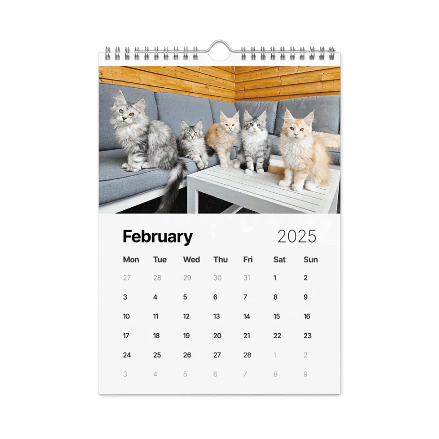 2025 Calendar - Maine Coon Adventures + Kittens product image (5)