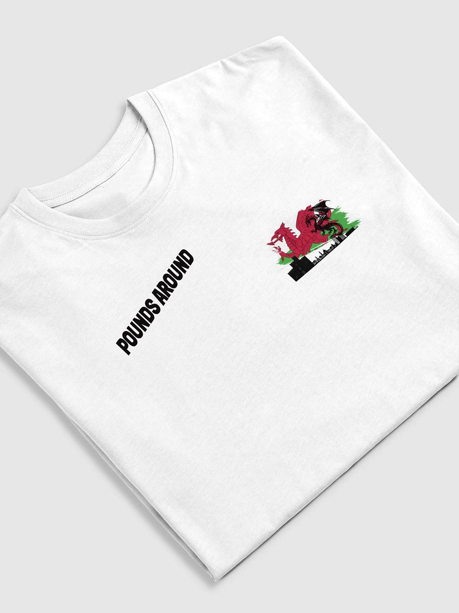 POUNDS AROUND WALES SHIRT product image (5)