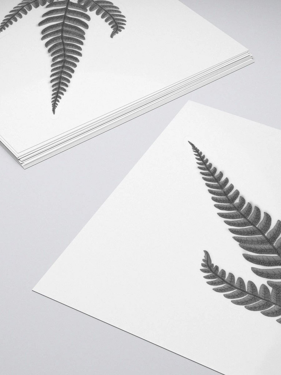 Silver Fern Sticker product image (7)