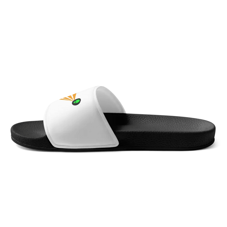 Moon slides product image (8)