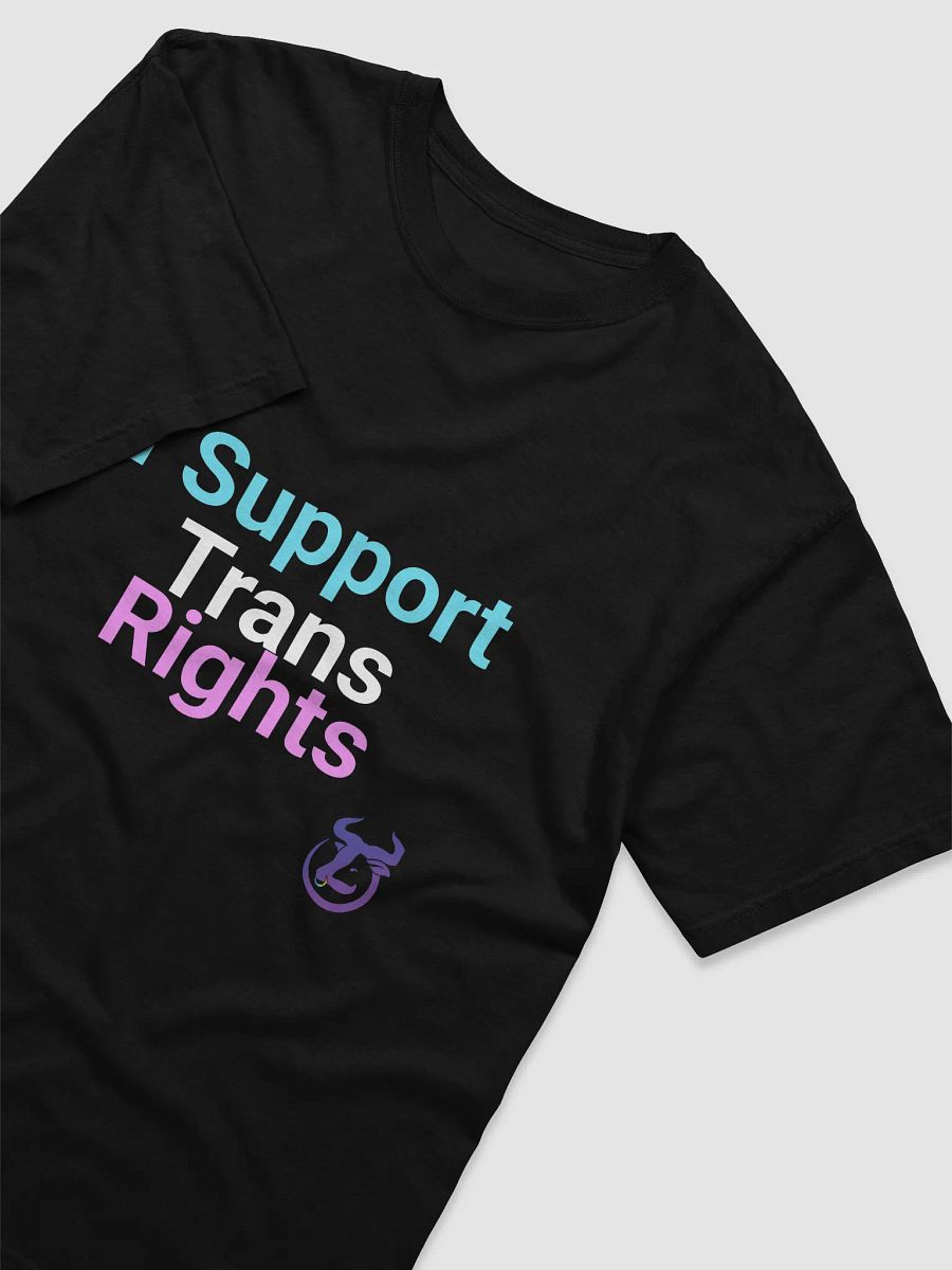 I Support Trans Rights T-Shirt product image (16)
