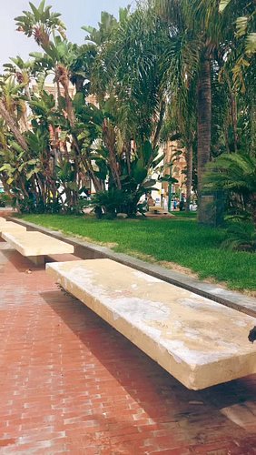 When visiting Málaga, you must go for a walk through Paseo Del Parque. 

#malaga #paseodelparque #visitspain #spain #travelph...
