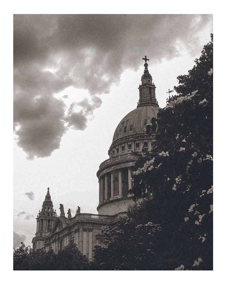 Flowers of St. Paul - Black & White / Digital product image (1)