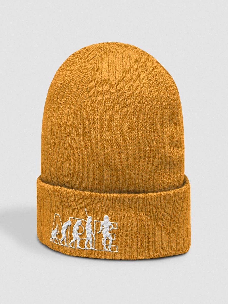 APEvolution Ribbed Beanie [Women's] product image (4)