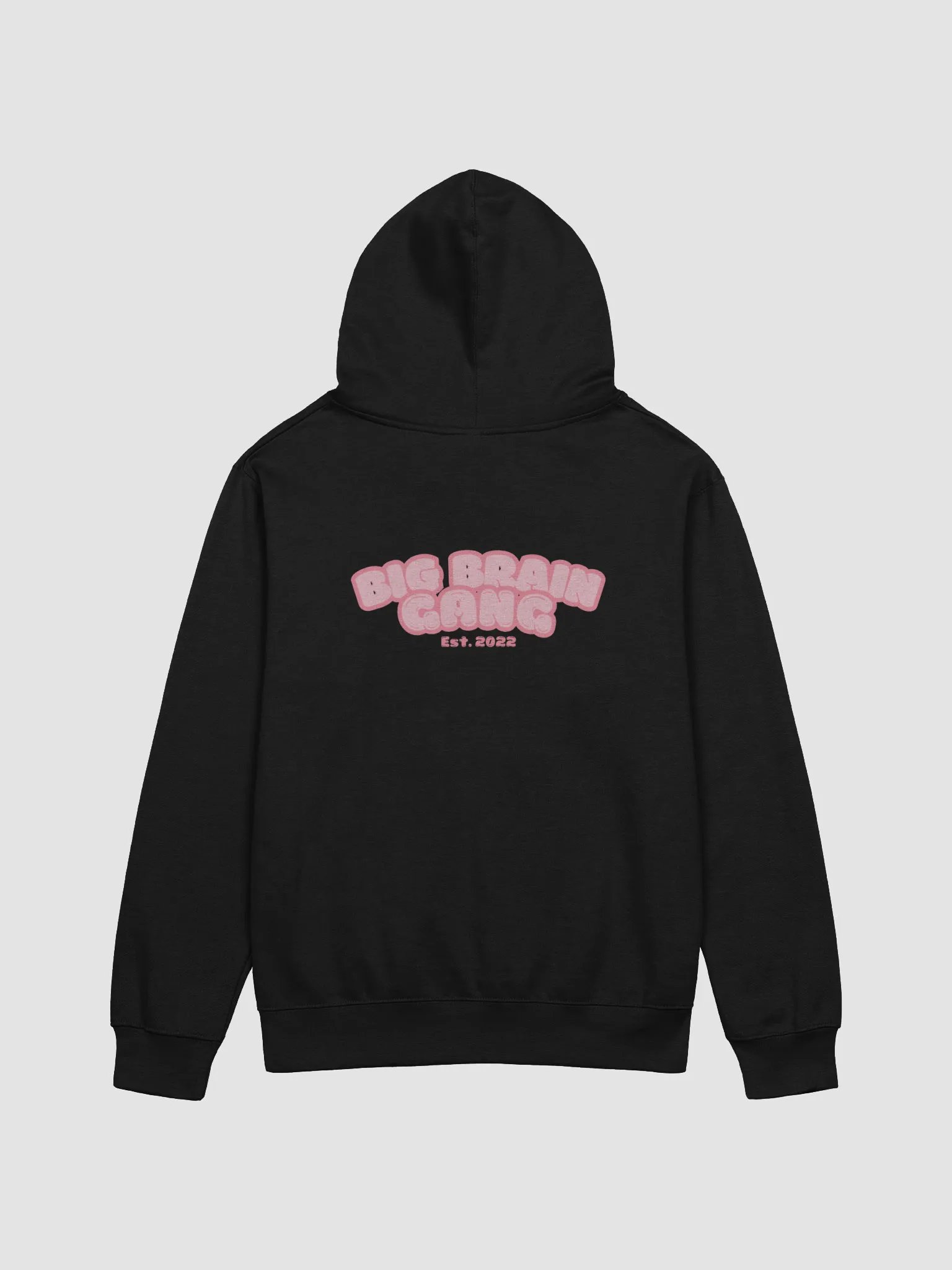 Brian Heart / Big Brain Gang Hoodie product image (15)
