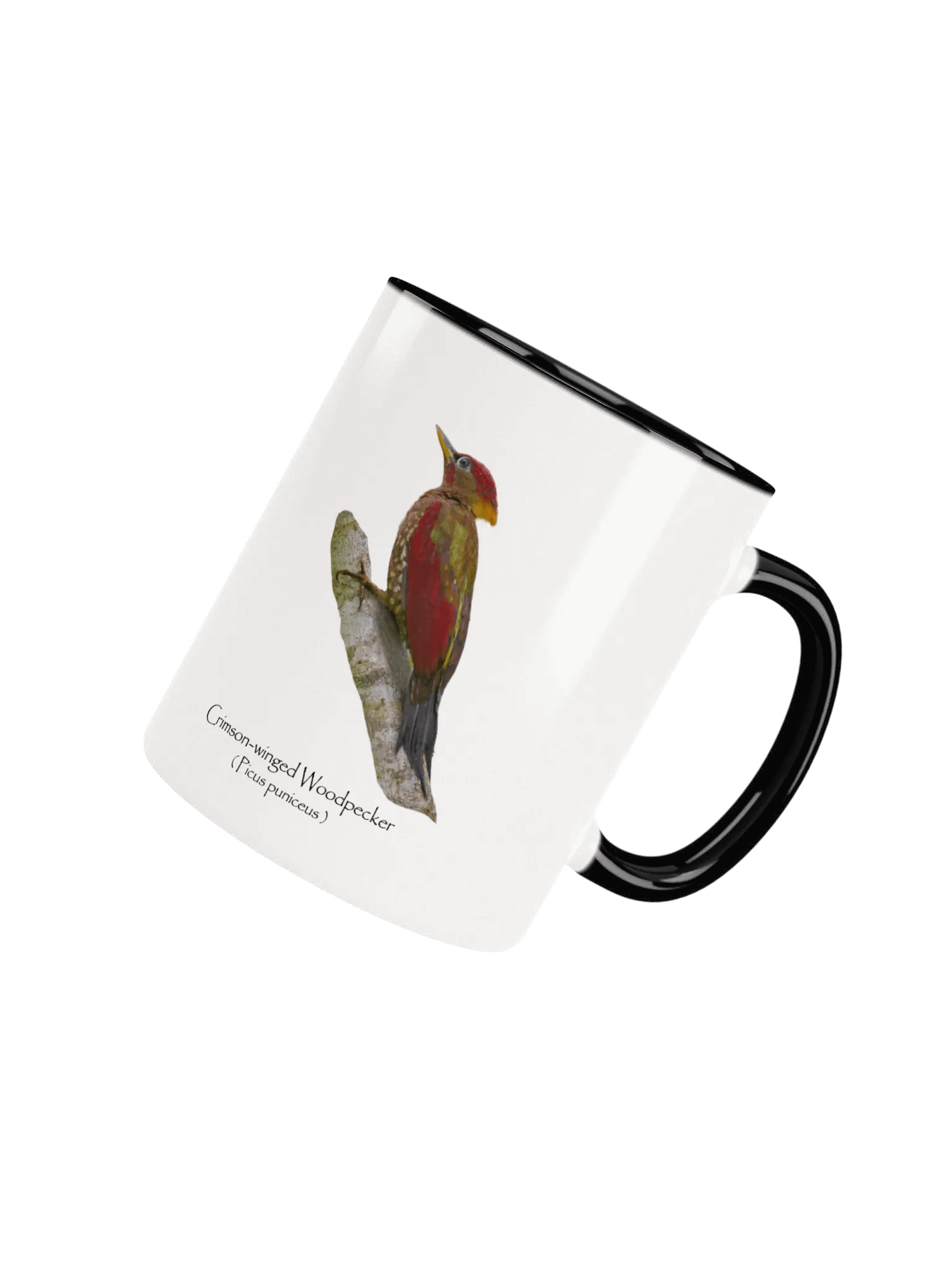Crimson-winged Woodpecker mug product image (33)