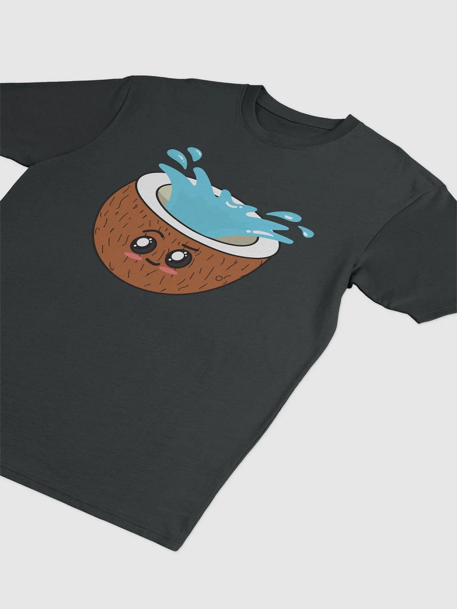 Coconuts Have Water In Them (Heavyweight Mens Tee) product image (6)