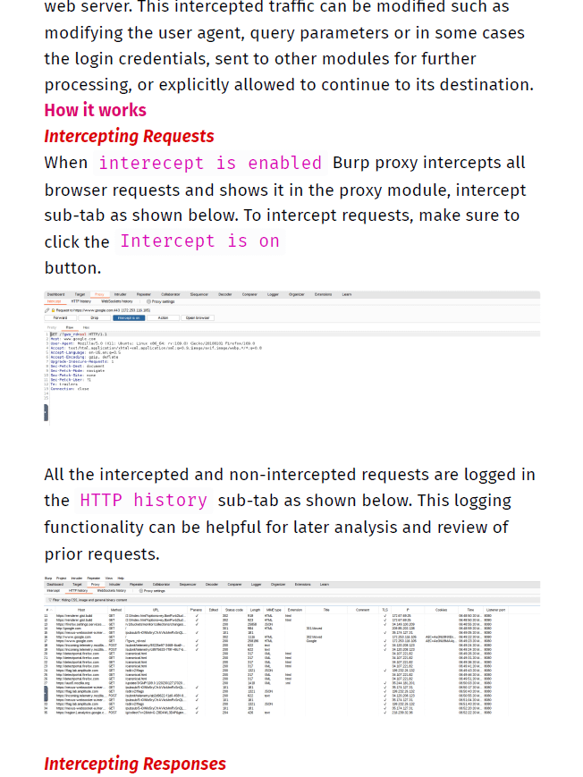 Burp Suite Practical Notes product image (2)