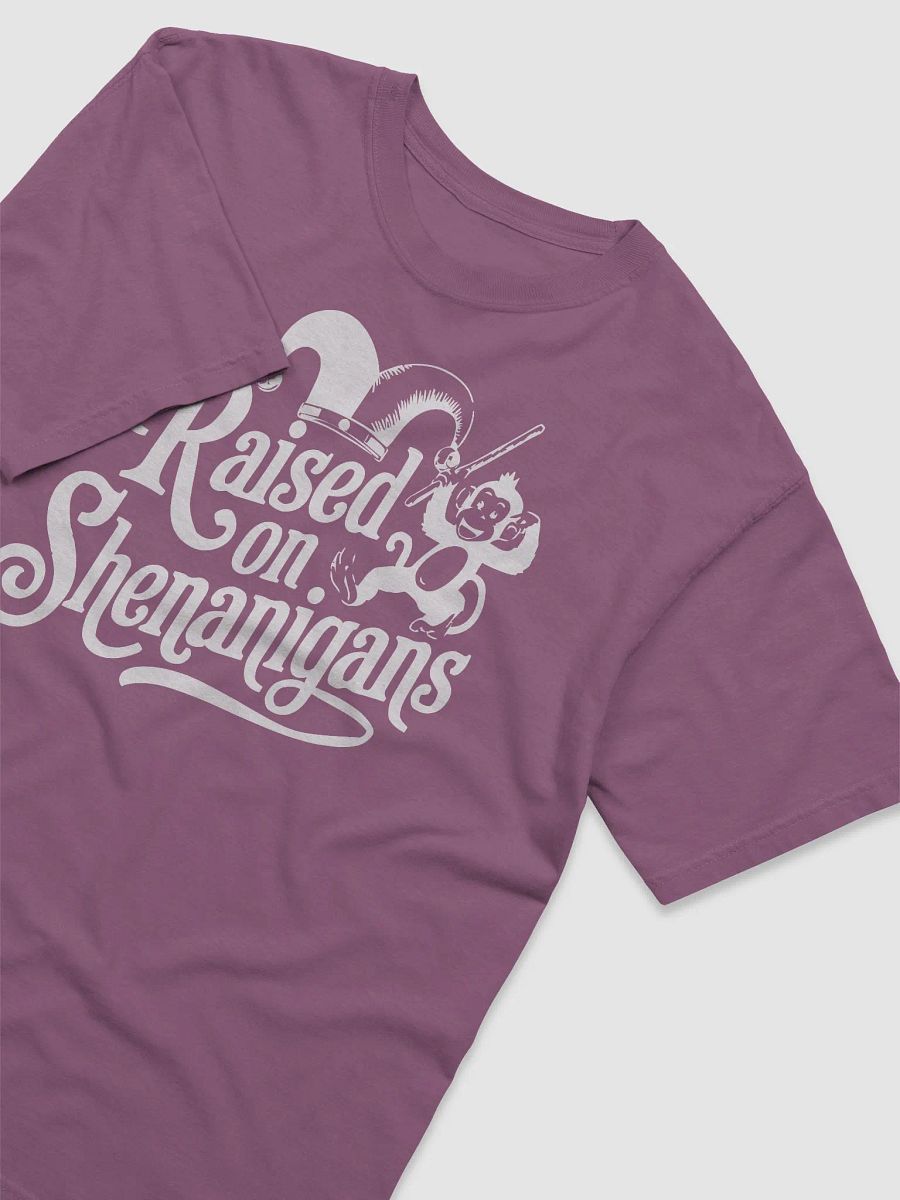 Raised on Shenanigans T-shirt product image (3)