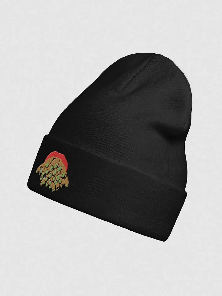 The Supplements Beanie product image (2)