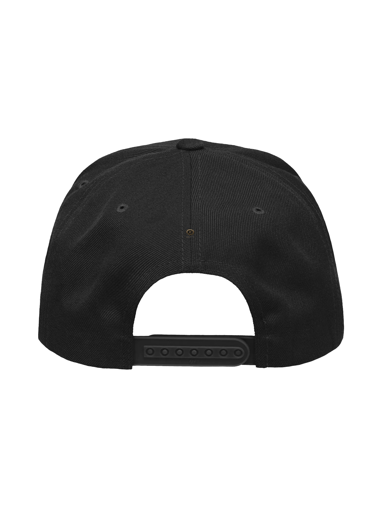 PK LOGOReady Wool Blend Snapback Cap product image (56)