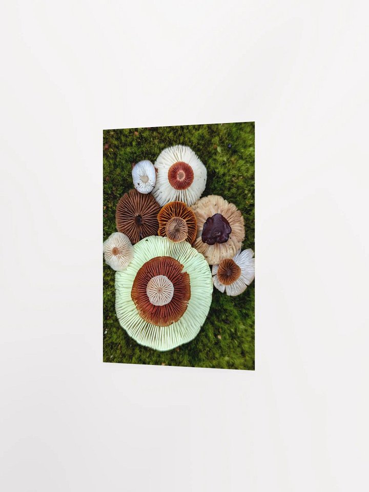 A Thousand Gills (Print) product image (20)