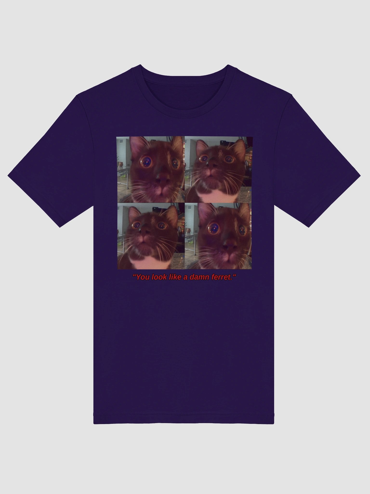 You Look Like a Damn Ferret Ladies Style Shirt product image (46)