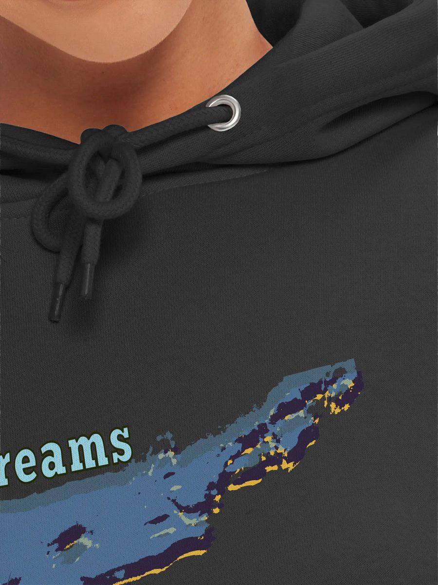 Skyline Dreams Premium Hoodie product image (7)
