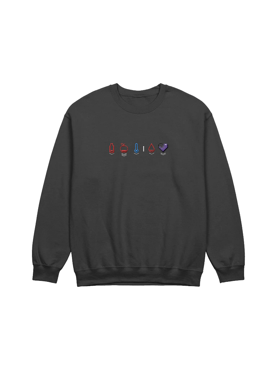 HollyRex X DayZ Embroidered Crewneck Sweatshirt product image (4)