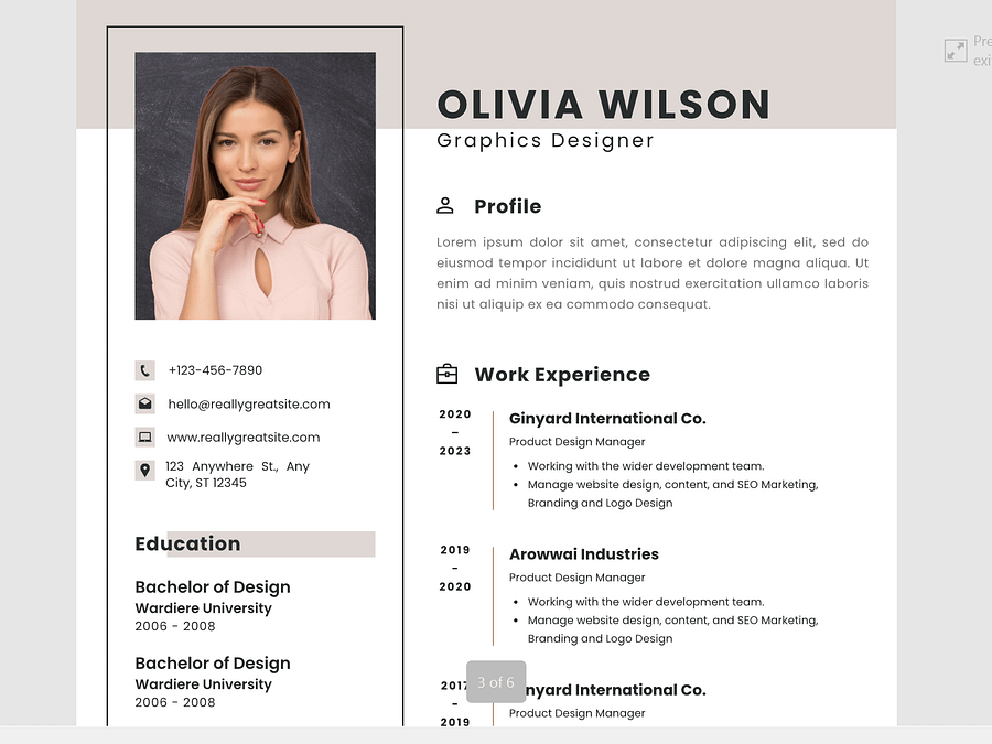5 CV Templates in PDF Format product image (5)