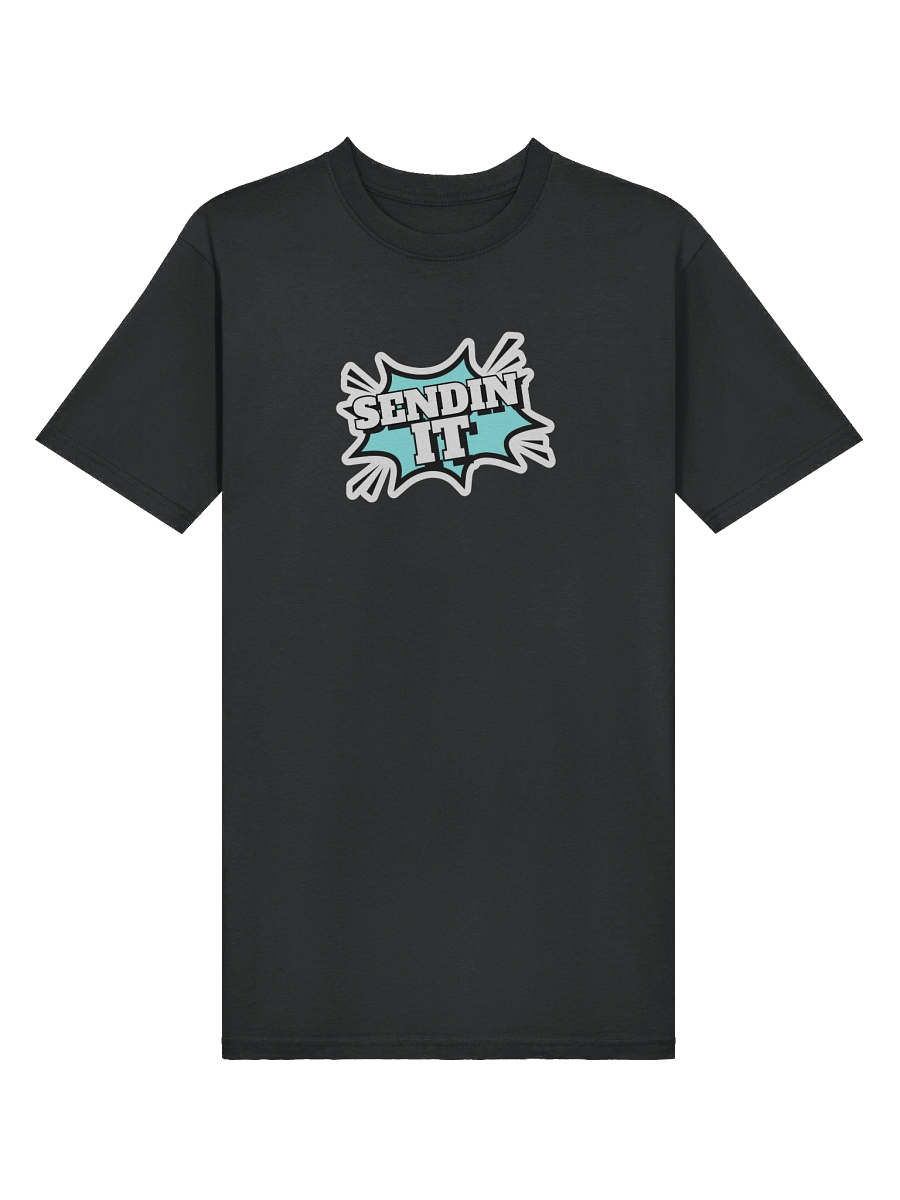 Sendin It! - Men's Tee product image (3)