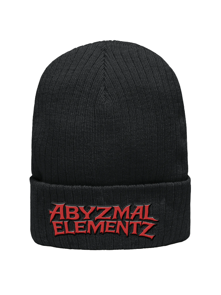 AE Logo Beanie product image (1)