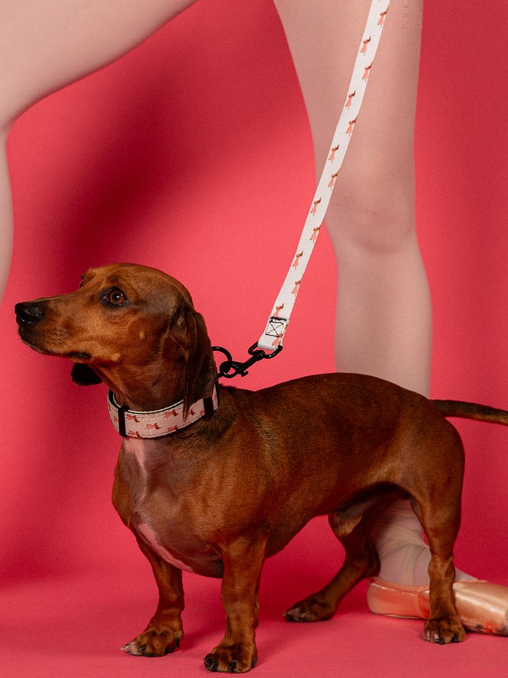 Doxie Leash product image (2)
