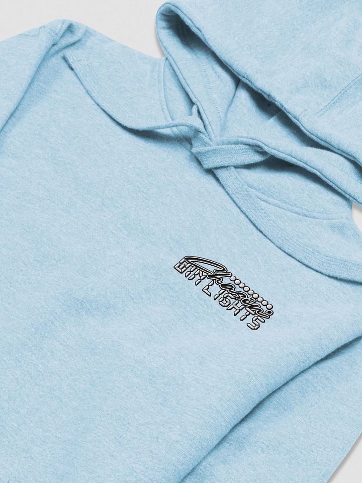 Chasing Win Lights - Embroidered Hoodie product image (37)