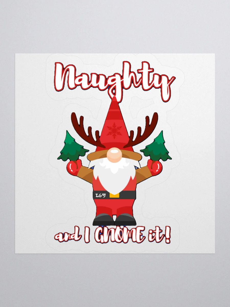 NAUGHTY AND I GNOME IT product image (1)
