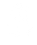 FernDragon64