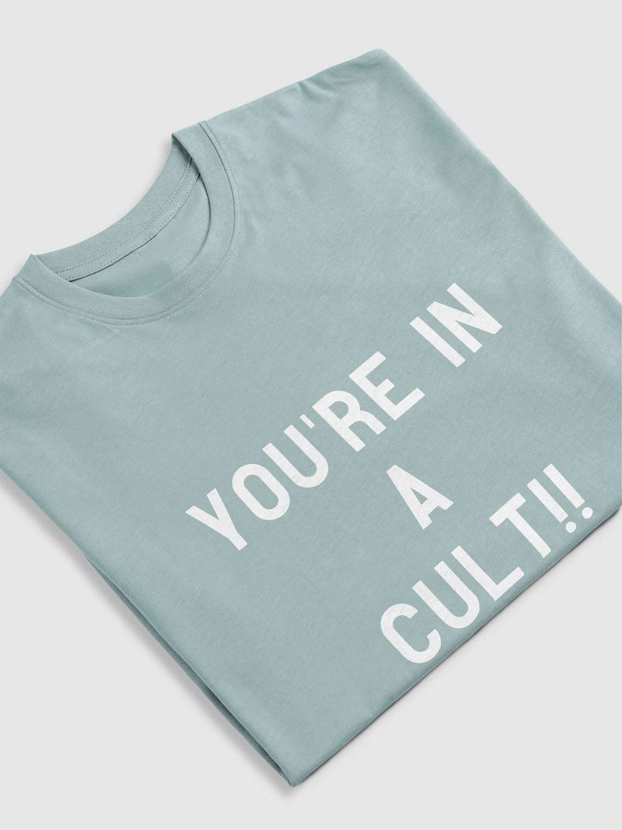 Pris- You're In A Cult -Cotton Heritage Men's Premium Heavyweight Tee product image (29)