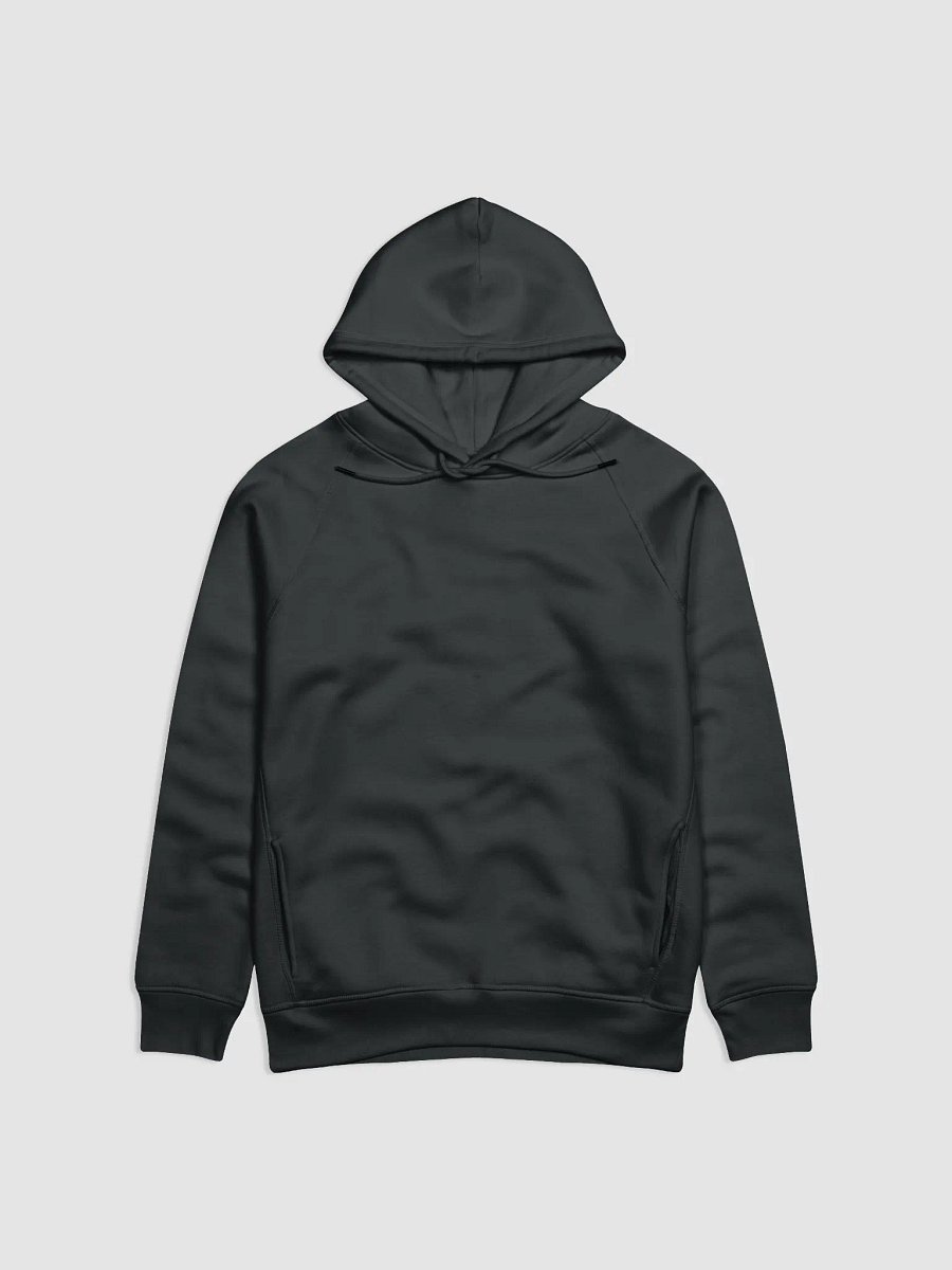 Hoodie product image (1)