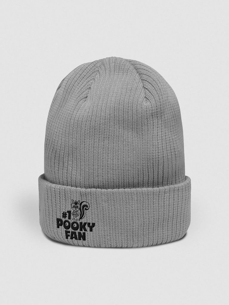 Organic Cotton Embroidered Beanie: Pooky Fan product image (2)