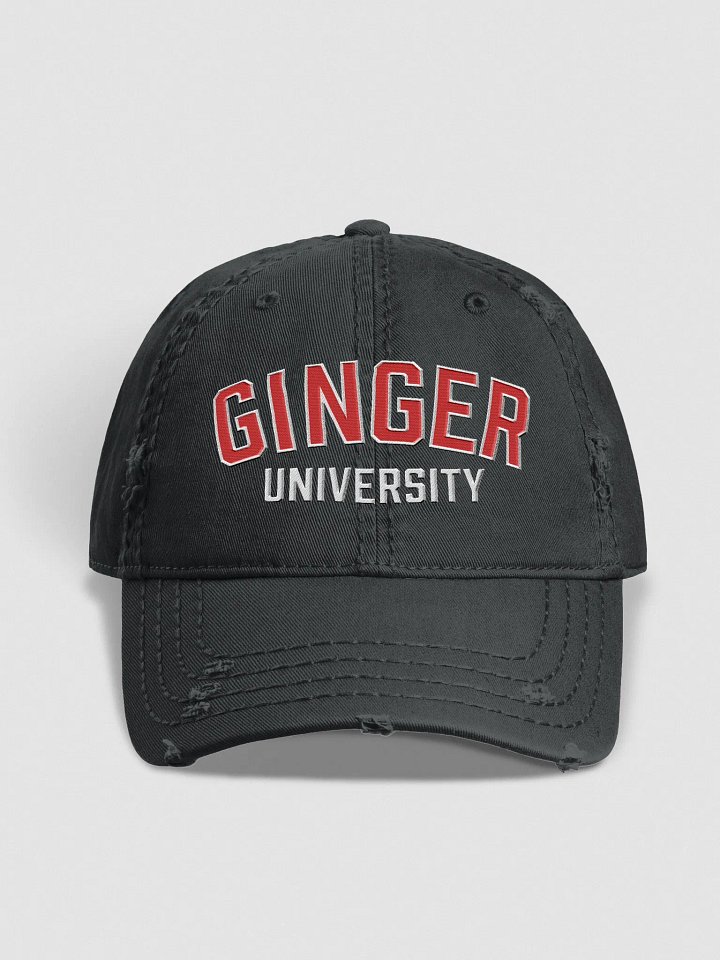 GINGER UNIVERSITY DISTRESSED DAD HAT product image (1)