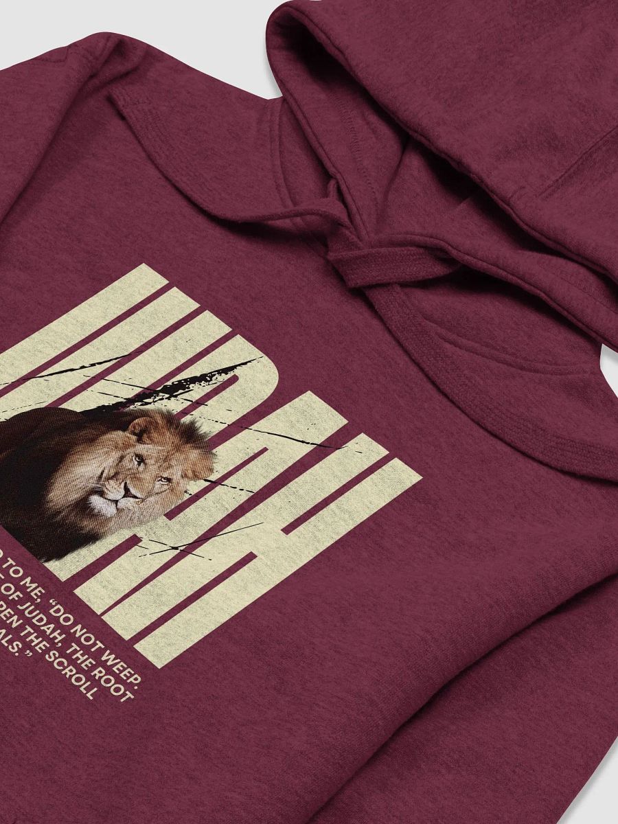 Lion of Judah Premium Hoodie product image (4)