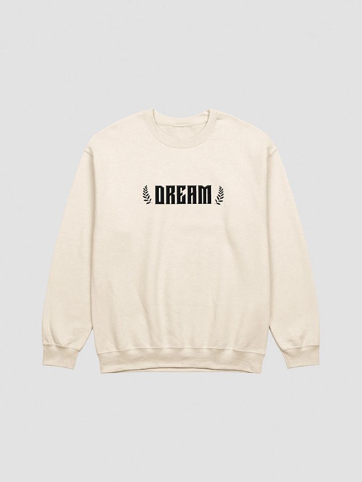 Dream Big Embroidery Sweatshirt product image (22)