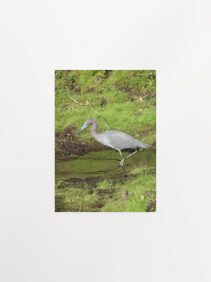 Heron 2 product image (7)