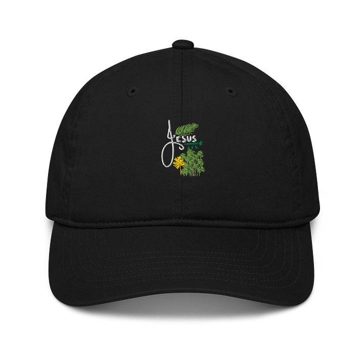 Organic Scissor and Plant Dad Hat product image (1)