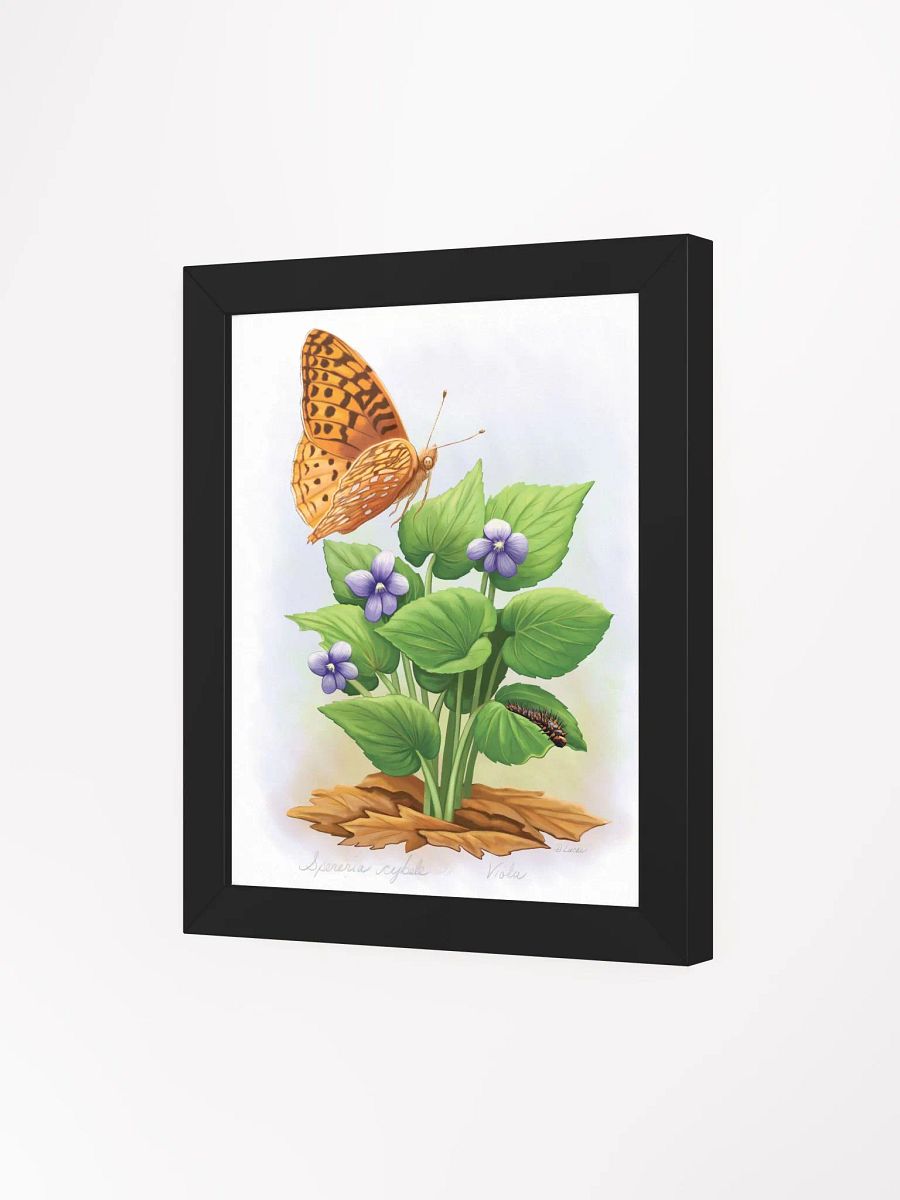 Fritillary Butterfly product image (26)