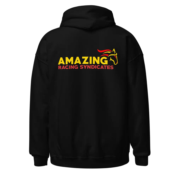 Hoodie with front and back design product image (1)