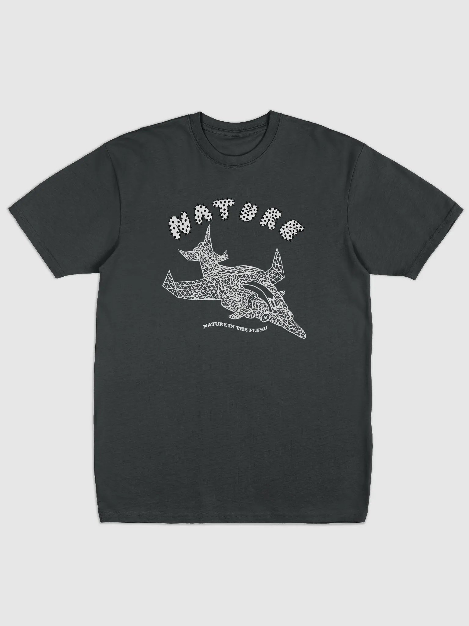Ascension Ship Tee product image (1)