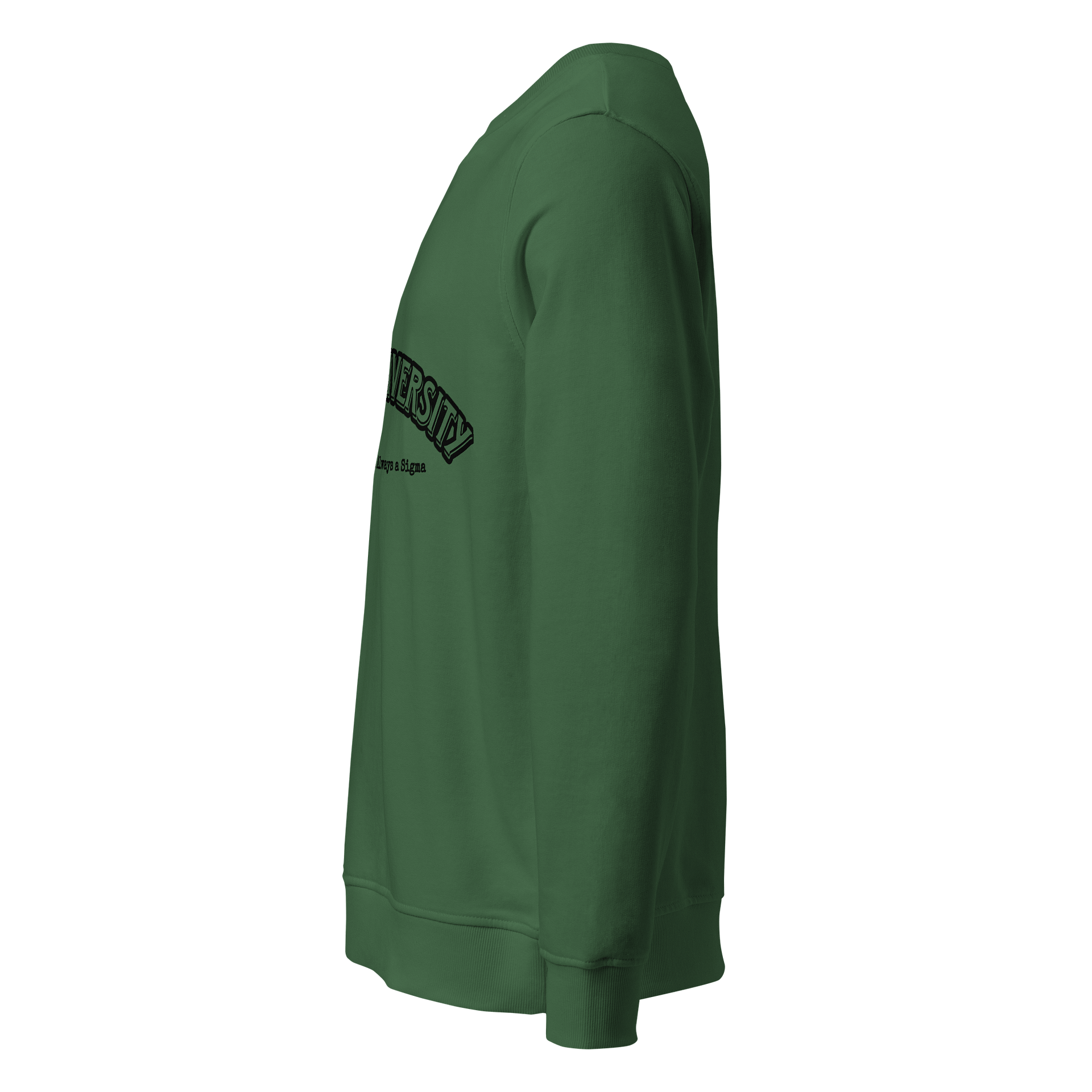 Sigma University Sweatshirt (Black Text) product image (18)