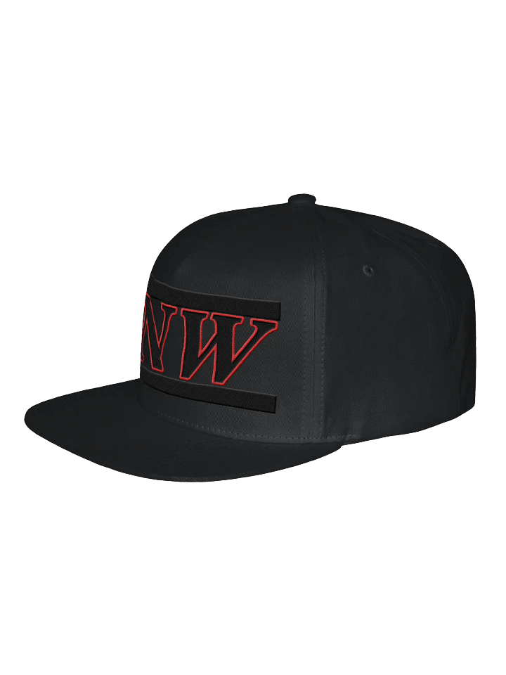 BNW Official Snap-Back Hat product image (2)