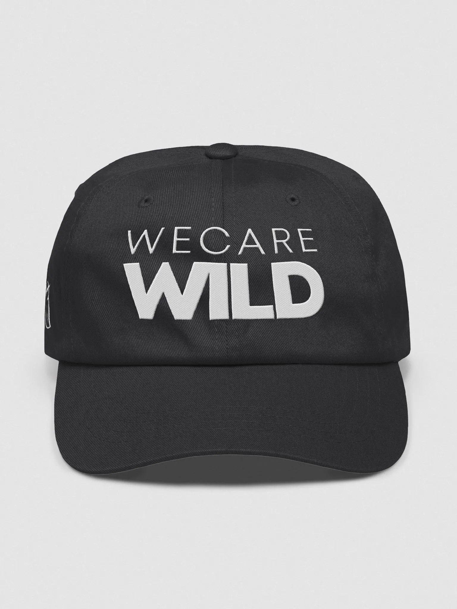 Dad Hat product image (7)