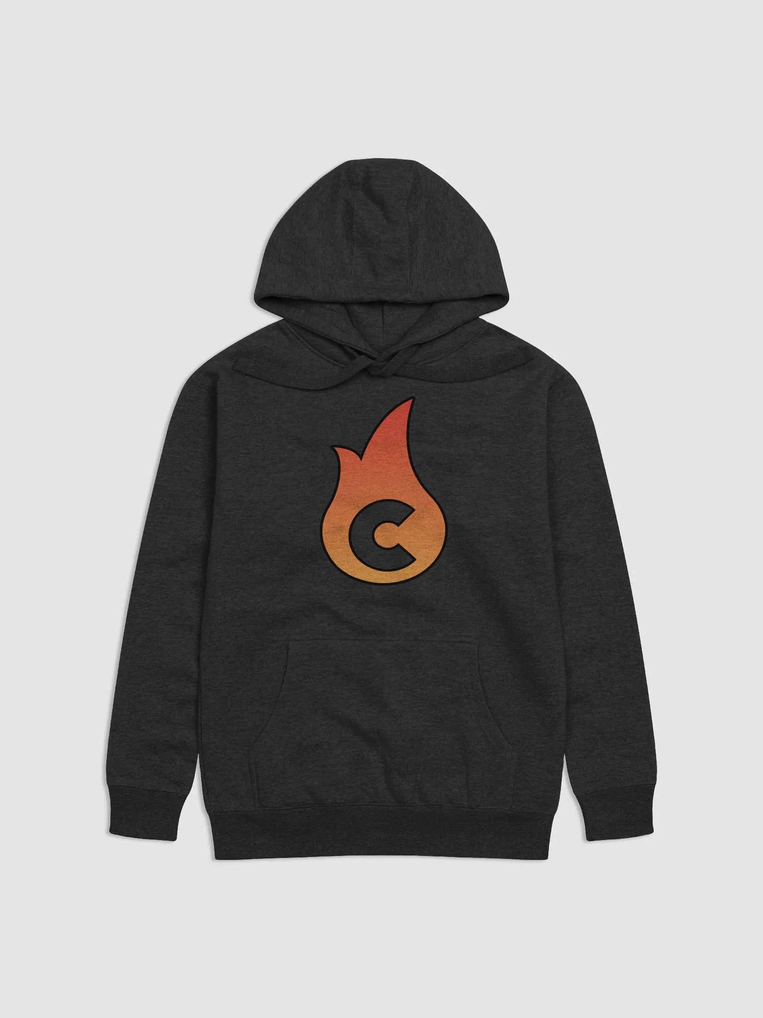 Logo V1 Hoodie product image (1)
