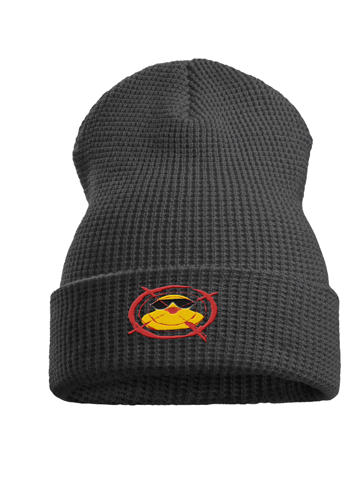 Represent Series Waffle Beanie - Crosshair Duckie product image (3)